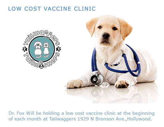 low cost vaccine